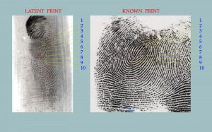 Court fingerprint display
