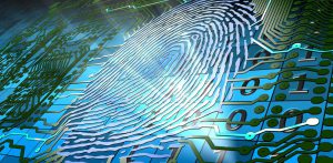 Digital Fingerprint Scan