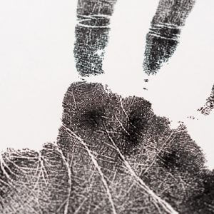 Fingerprintfeature