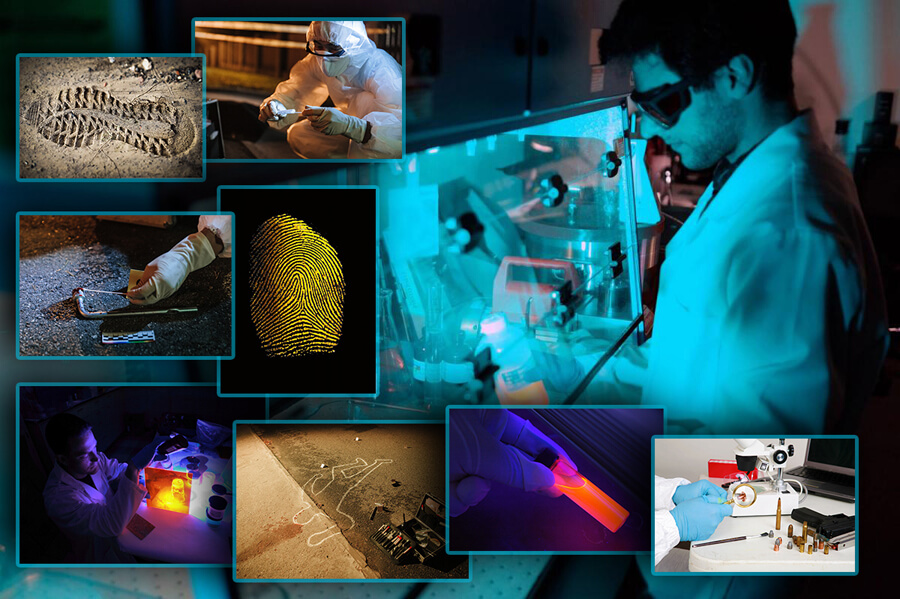 forensic investigator
