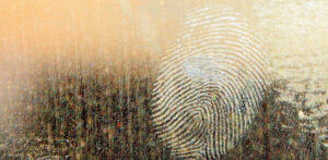 forensic investigator