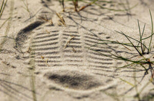 impression evidence