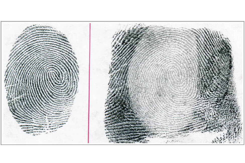 Fingerprint Identification
