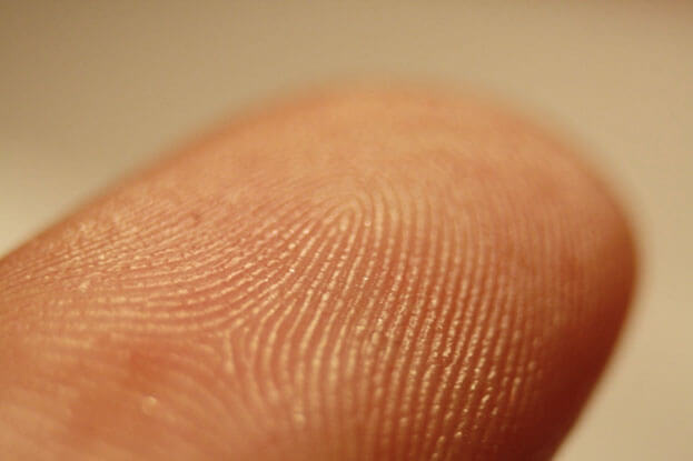 Fingertip Up Close