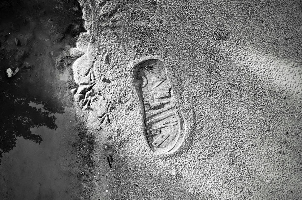 impression evidence